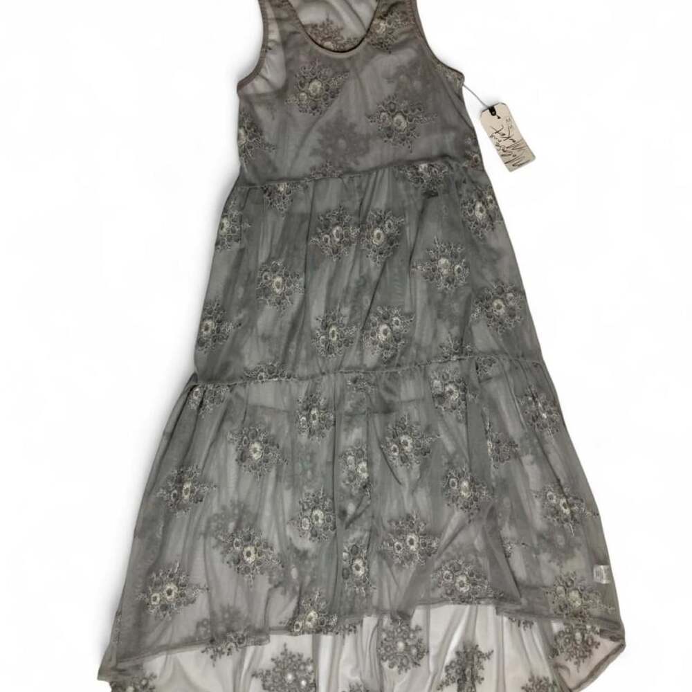 Melrose and Market Sheer Floral Embroidered High-Low Maxi Dress